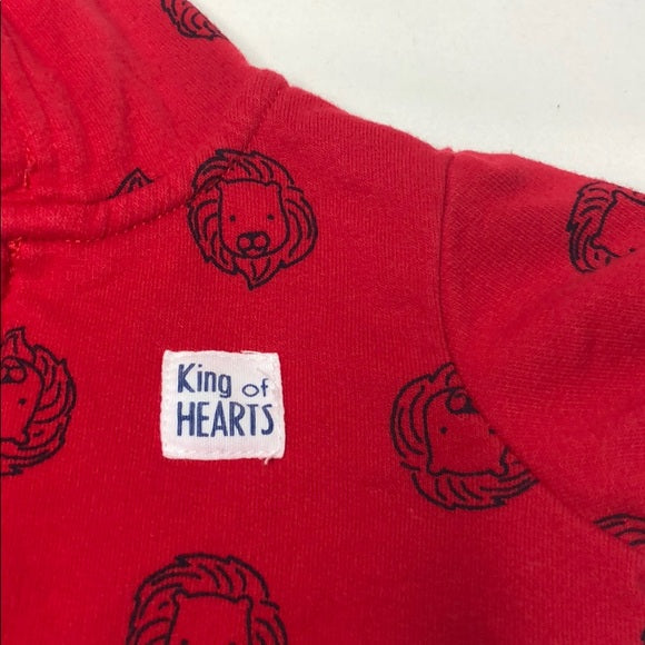 Carter’s Zip Up Hoodie Jacket