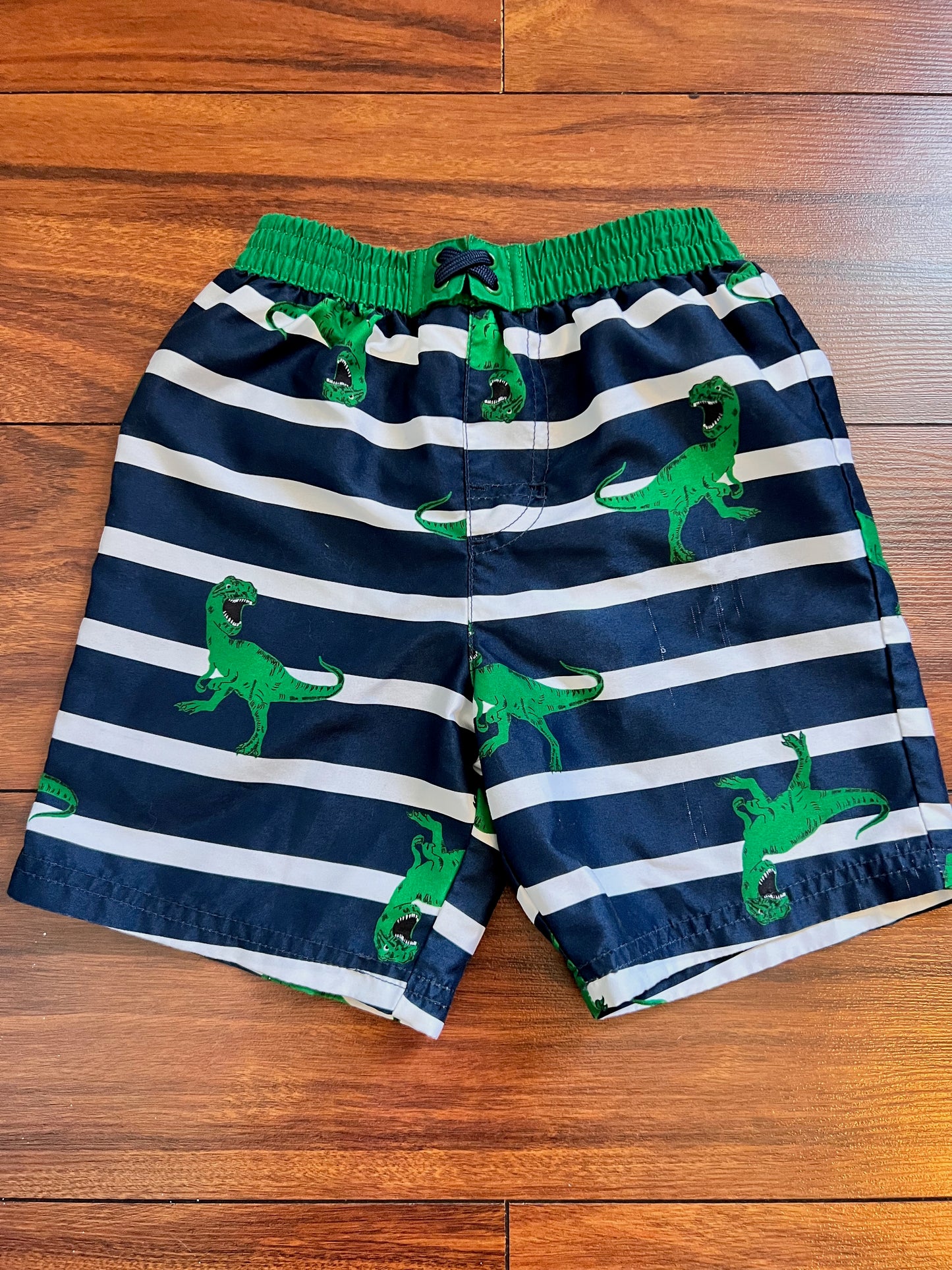 Wonder Nation Dinosaur Swim Trunks (Green Blue)