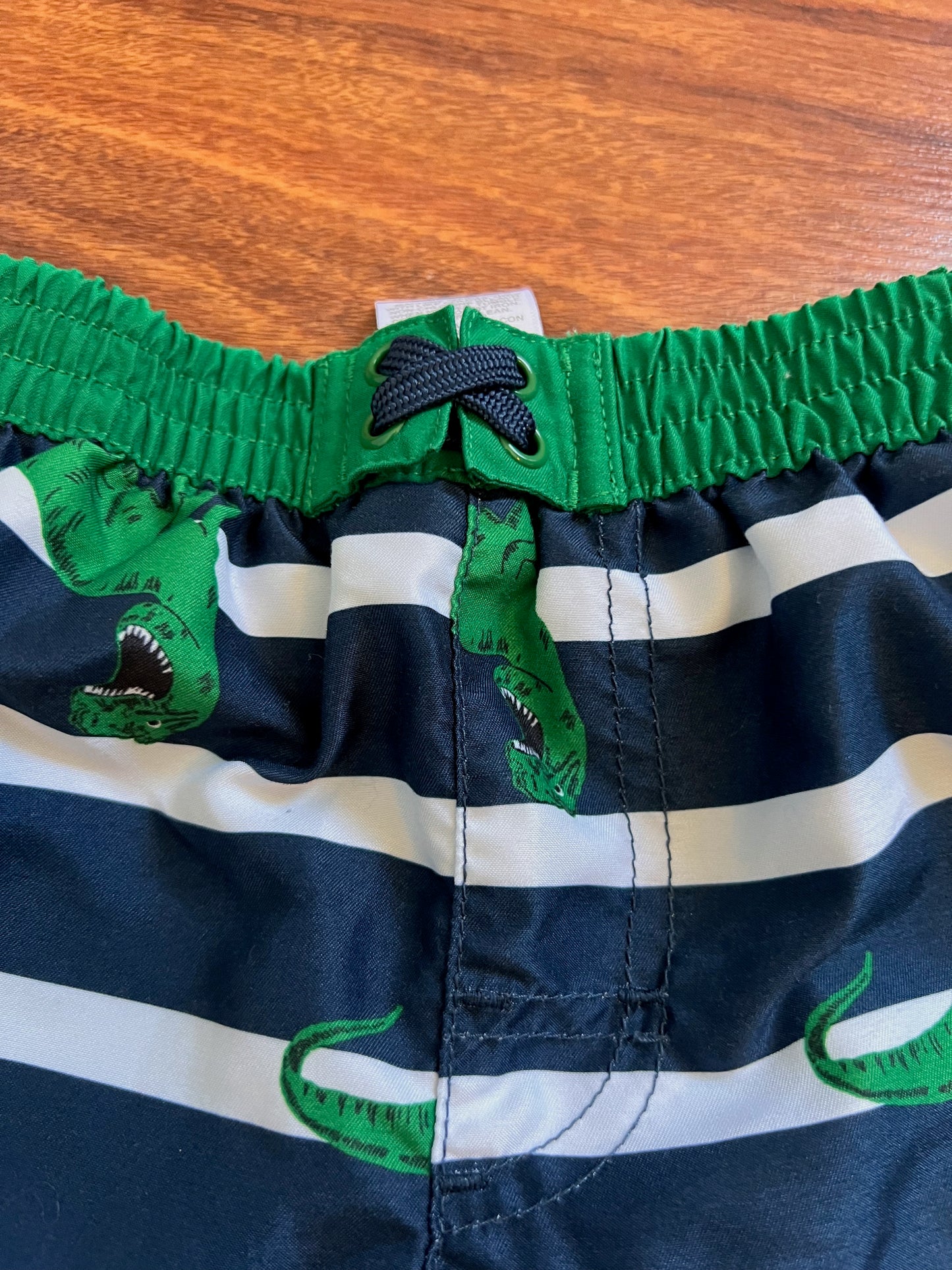 Wonder Nation Dinosaur Swim Trunks (Green Blue)