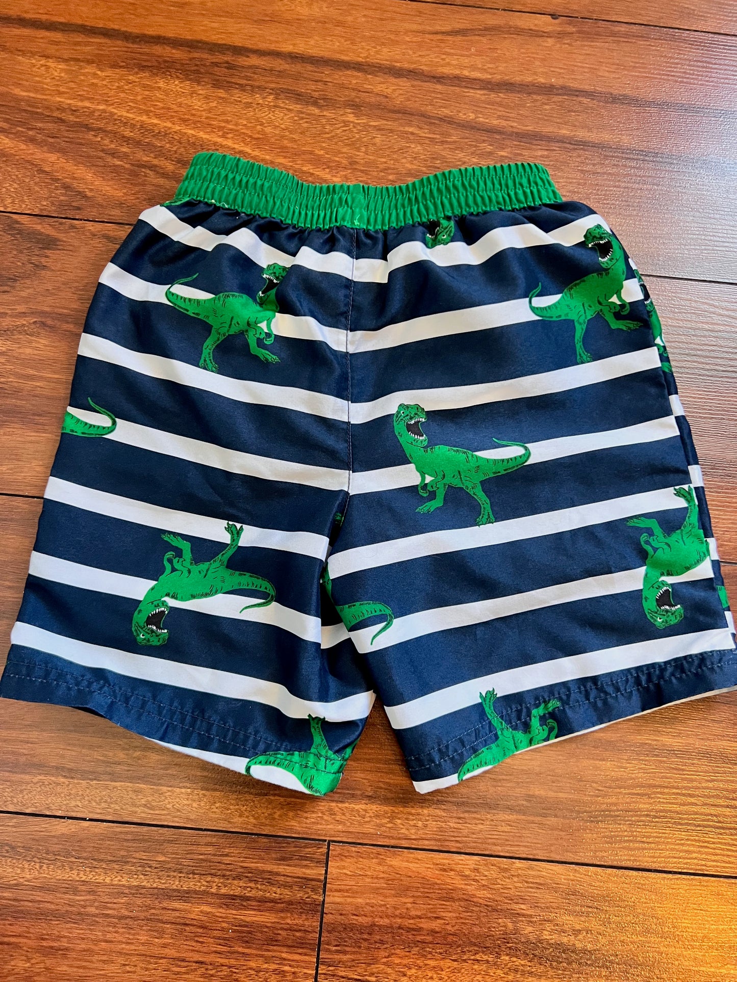 Wonder Nation Dinosaur Swim Trunks (Green Blue)